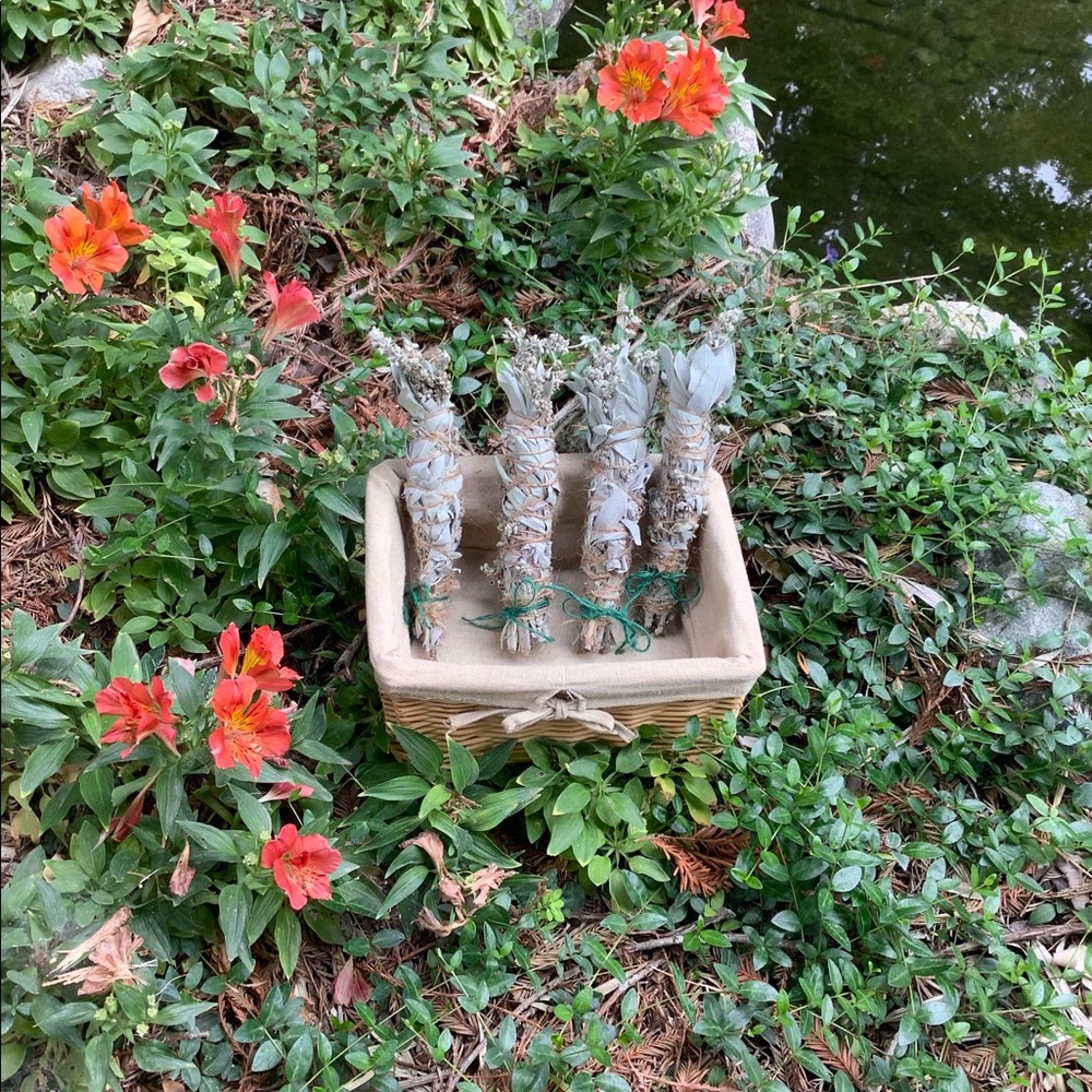 White Sage 8” 1 Stick Organic Smudge Stick - Picture 2 of 15